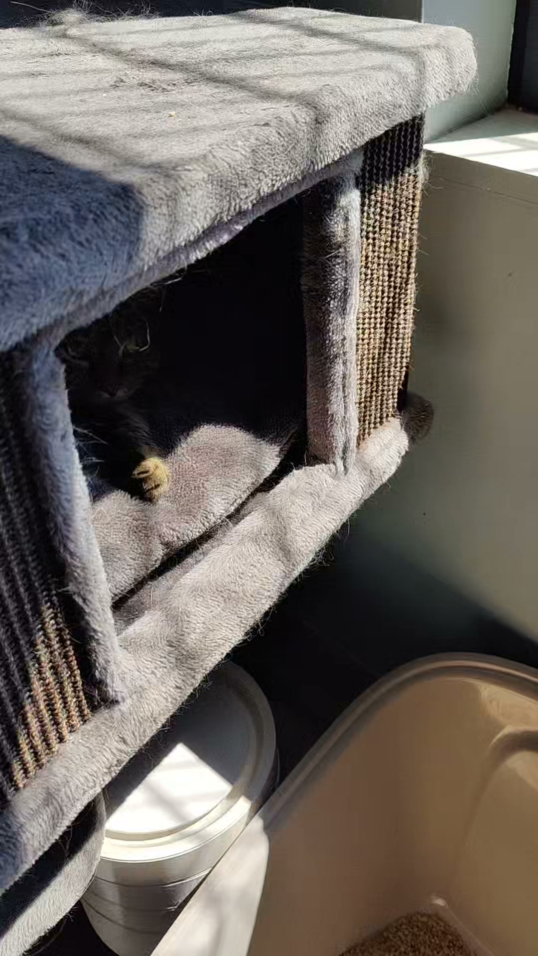 Luxe-Kattenhotel.be